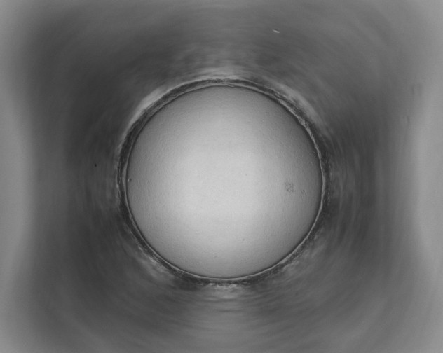 X0000111951168200908101216