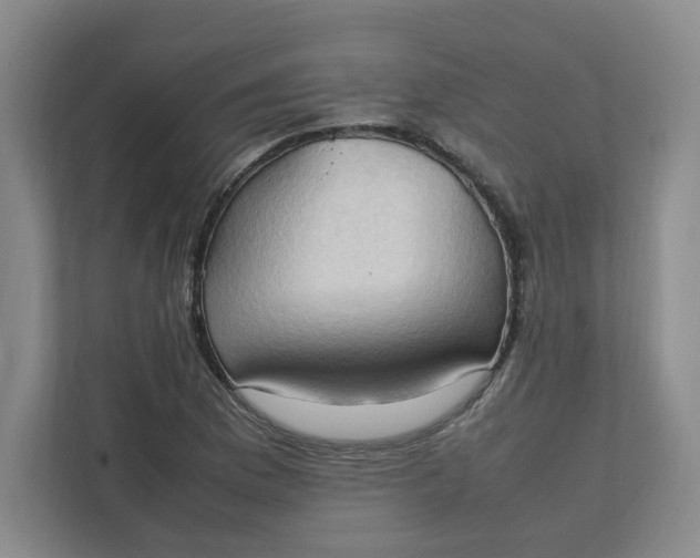 X0000111951169200908101216