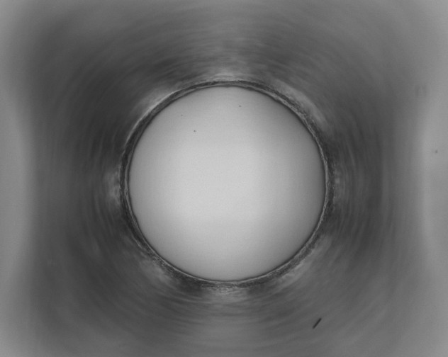 X0000111951170200908101216