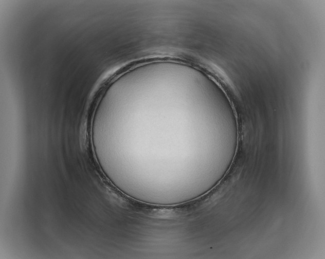 X0000111951172200908101216