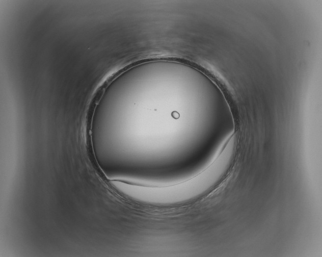 X0000111951173200908101216