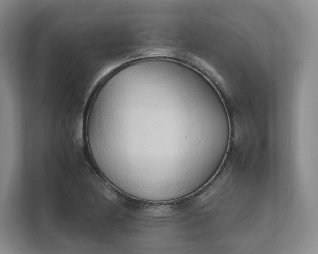 X0000111951174200908101216
