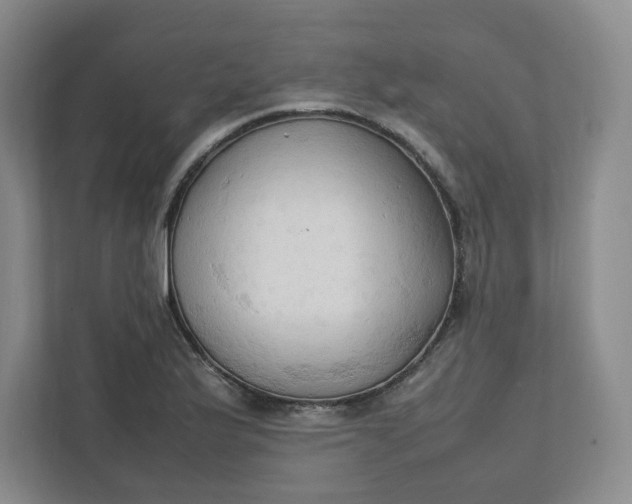 X0000111951175200908101216