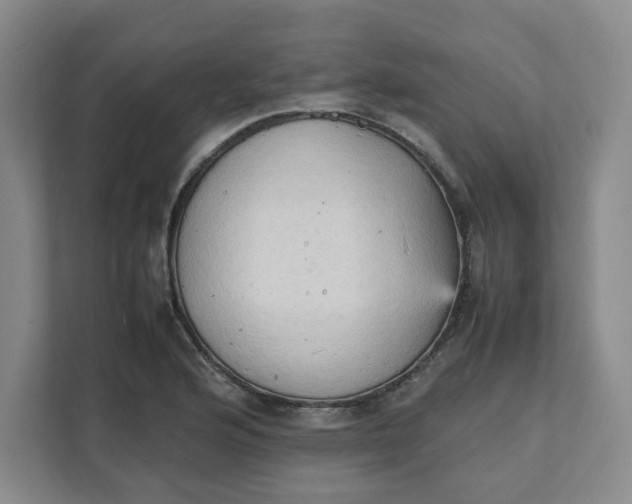 X0000111951176200908101216