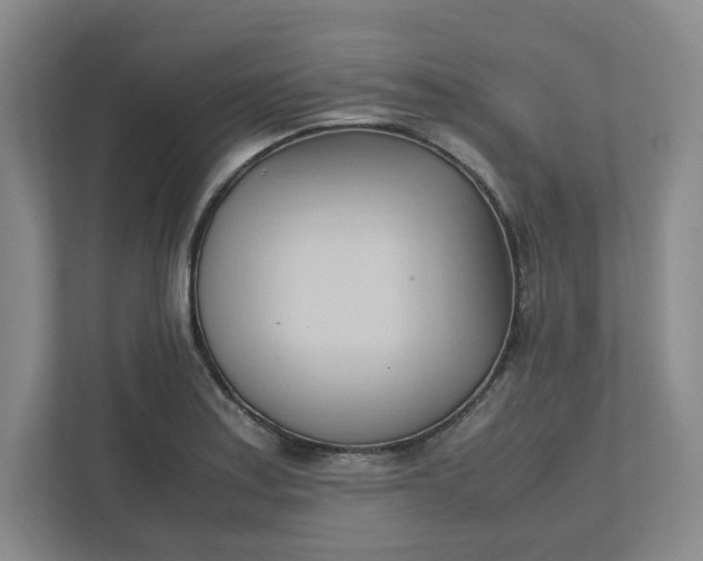 X0000111951179200908101216