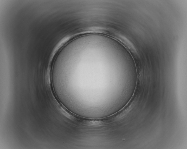 X0000111951180200908101216
