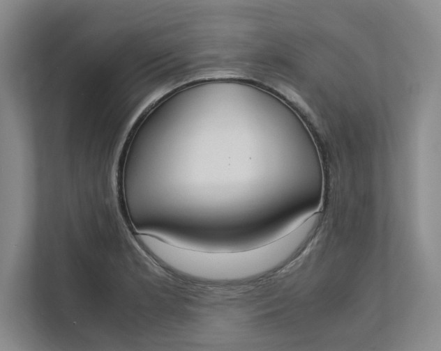 X0000111951181200908101216