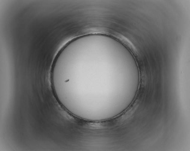 X0000111951182200908101216