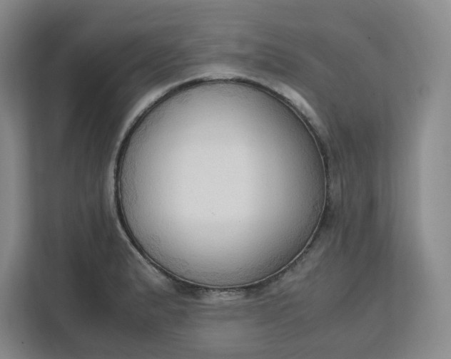 X0000111951183200908101216