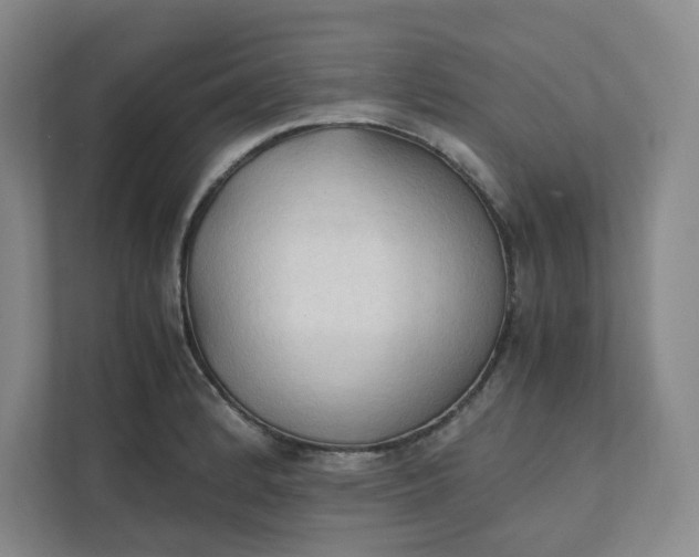 X0000111951184200908101216