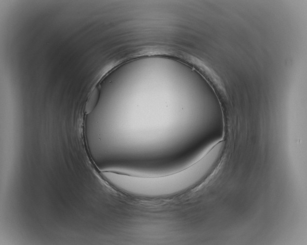 X0000111951185200908101216