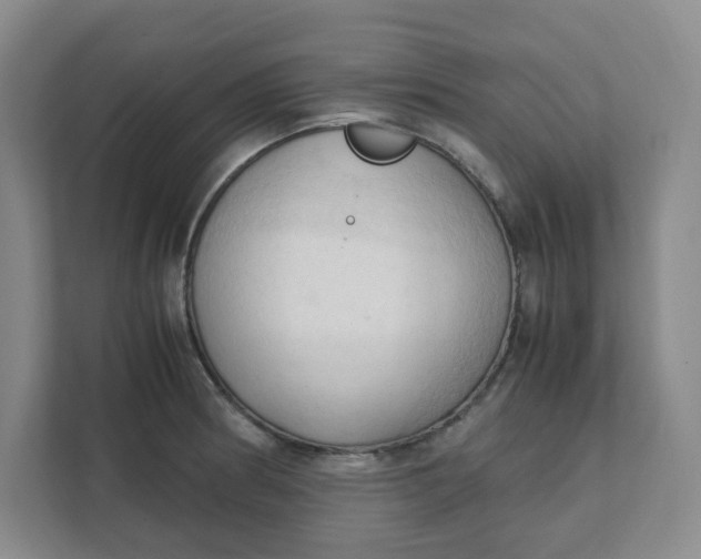 X0000111951186200908101216
