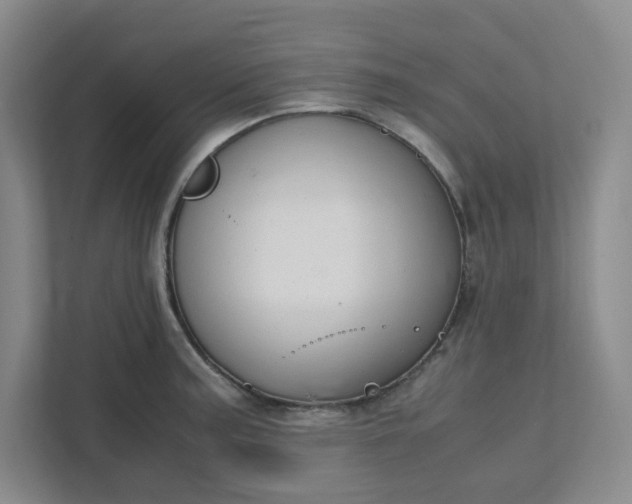 X0000111951187200908101216