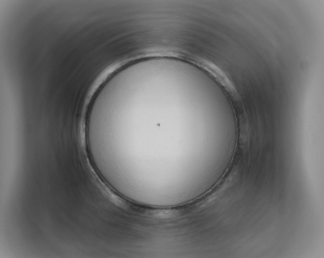 X0000111951188200908101216