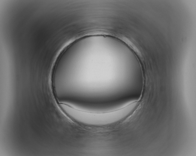 X0000111951189200908101216