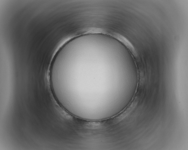 X0000111951190200908101216