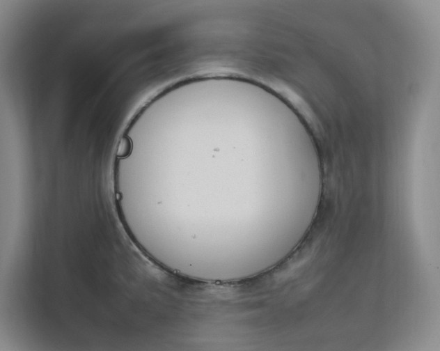X0000111951191200908101216