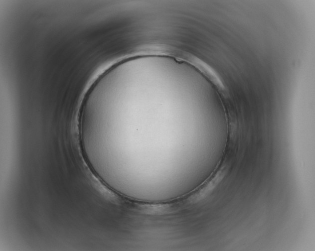 X0000111951192200908101216
