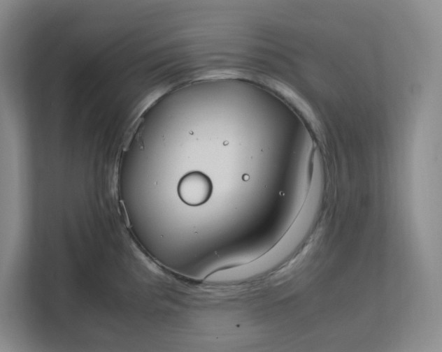 X0000111951193200908101216