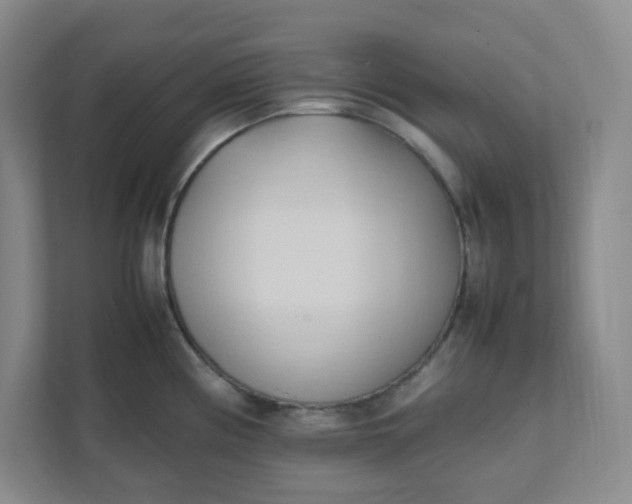 X0000111951194200908101216