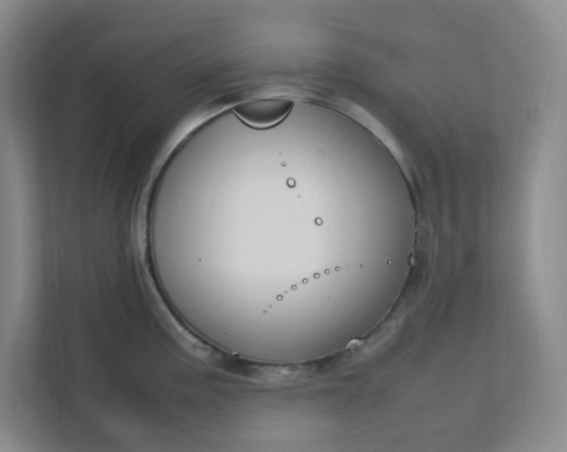 X0000111951195200908101216