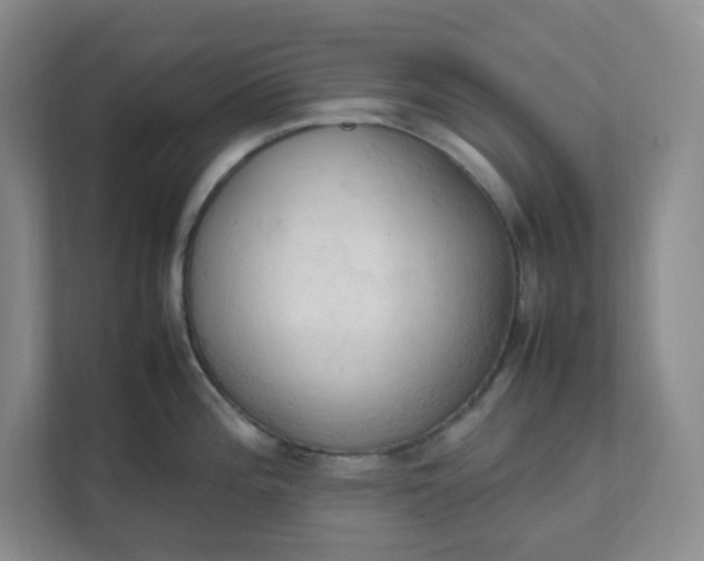 X0000111951196200908101216
