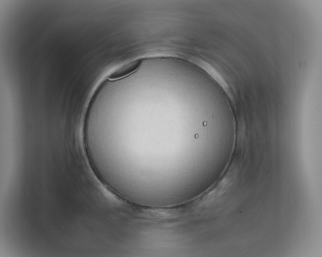 X0000111951197200908101216