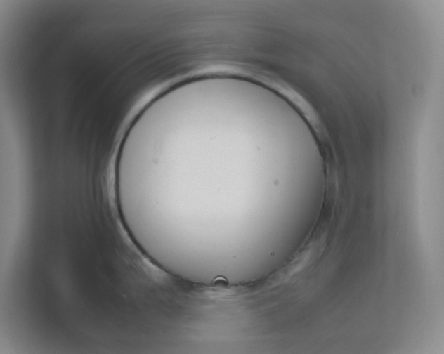 X0000111951199200908101216