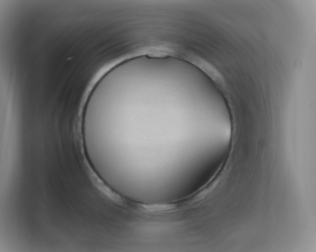 X0000111951200200908101216