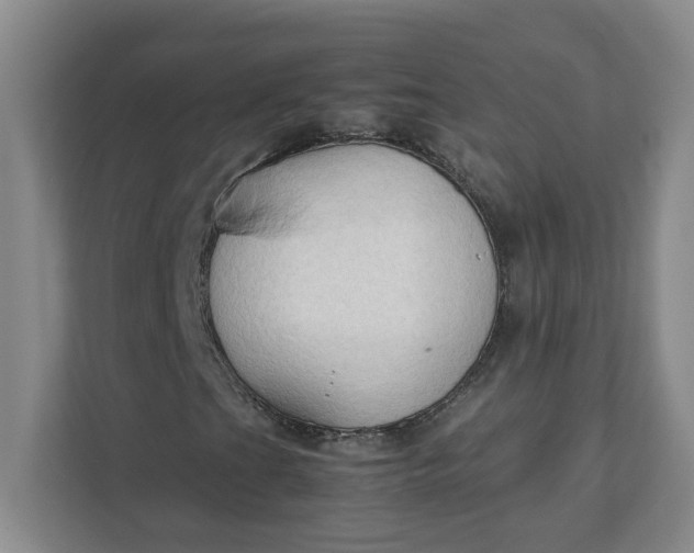 X0000111951201200908101215