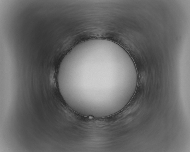 X0000111951202200908101215