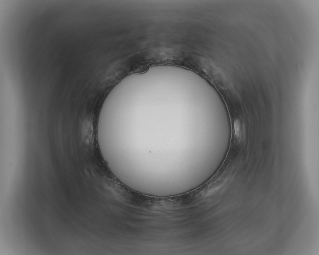 X0000111951203200908101215