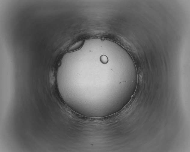 X0000111951204200908101215