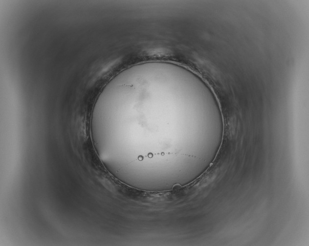X0000111951205200908101215