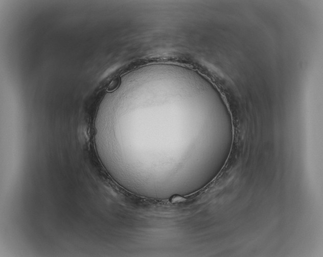 X0000111951206200908101215