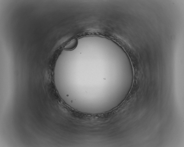 X0000111951207200908101215