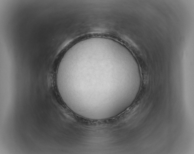 X0000111951208200908101215