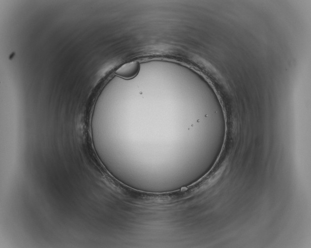 X0000111951210200908101215