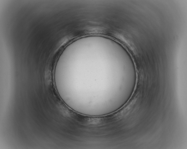 X0000111951211200908101215