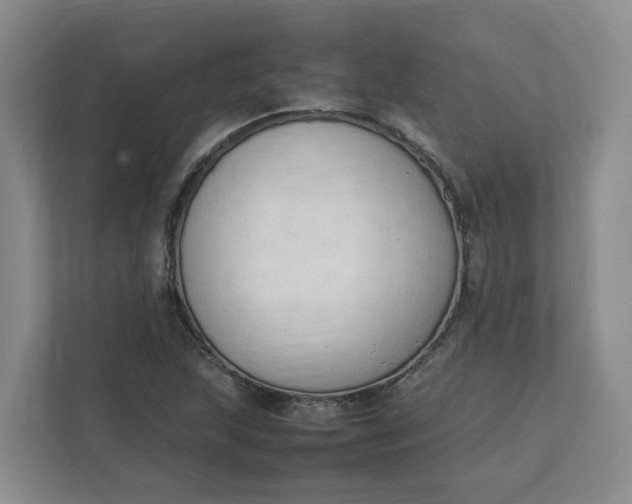 X0000111951215200908101215