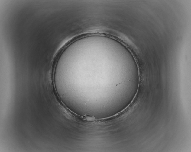 X0000111951216200908101215