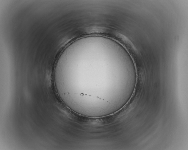 X0000111951217200908101215