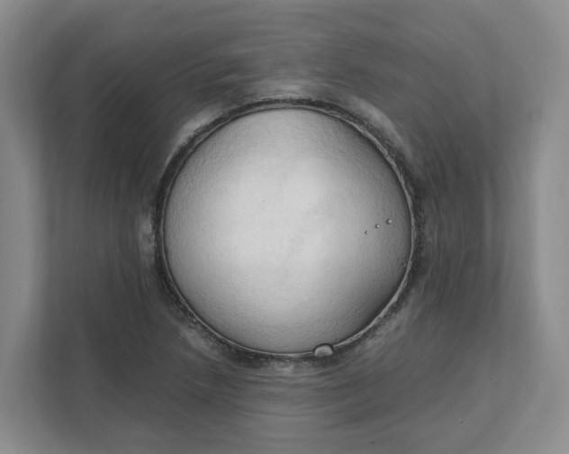 X0000111951218200908101215