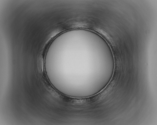 X0000111951219200908101215