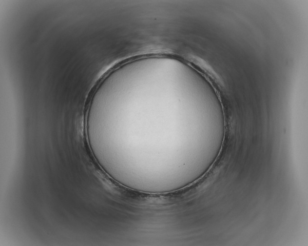 X0000111951220200908101215