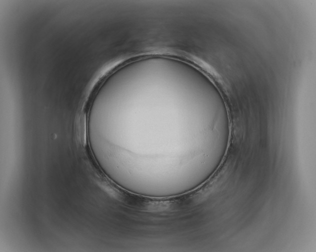 X0000111951223200908101216