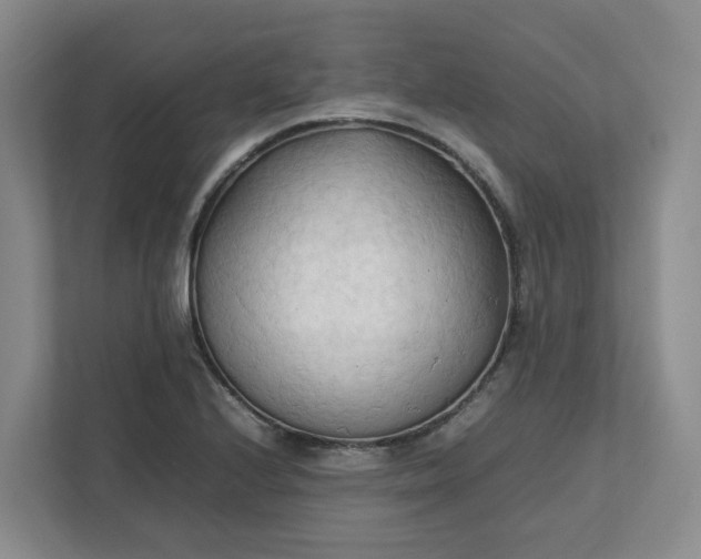 X0000111951224200908101216