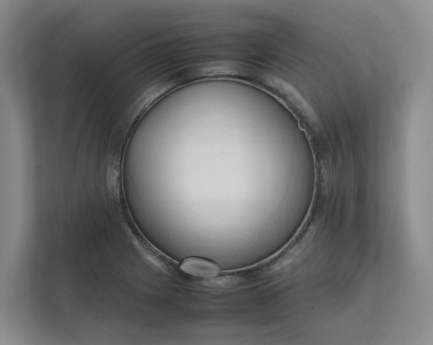 X0000111951225200908101216