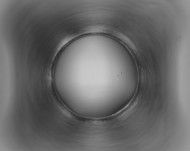X0000111951226200908101216