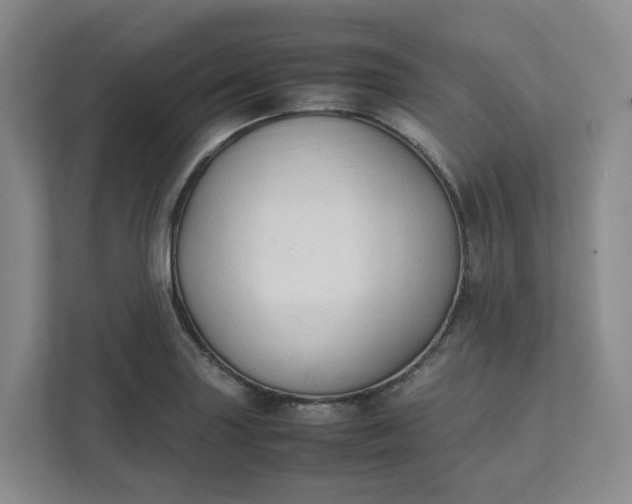 X0000111951227200908101216
